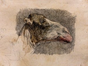 Cabeça de camelo, cerca de 1865 (lápis de grafite com reflexos de aguarela sobre papel)