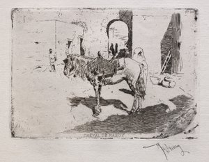 Cavalo marroquino