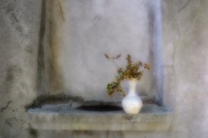 Recanto das Plantas Secas de Marie-anne Stas