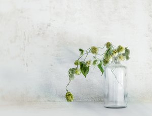  de Marie-anne Stas