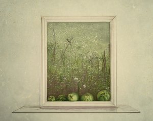  de Marie-anne Stas