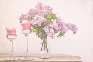Velas lilás e cor-de-rosa de Marie-anne Stas