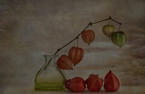Lanternas de Outono Tranquilo de Marie-anne Stas