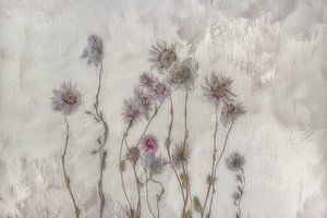 Flores em tons pastel suaves de Marie-anne Stas