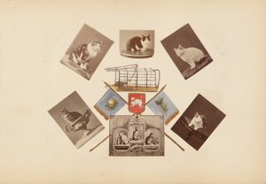 O álbum Madame B de Marie-Blanche-Hennelle Fournier