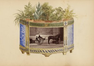 O álbum Madame B de Marie-Blanche-Hennelle Fournier