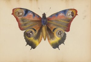 O Álbum Madame B