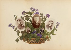 The Madame B Album, 1870s.