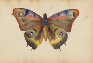 O álbum Madame B, década de 1870.