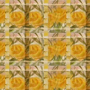 Fantasia com rosas de Marina Falco