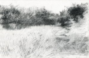Paisagem, 2021 (carvão sobre papel) de Marina Falco