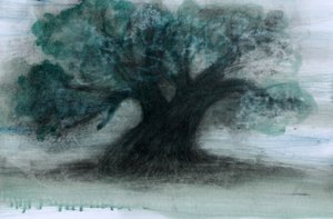 Olive Tree, 2023 (óleo e carvão sobre papel)