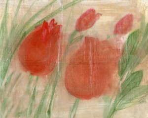 Tulipas vermelhas de Marina Falco