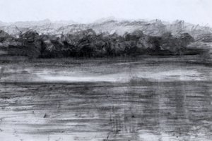 O Lago, 2023 (óleo e carvão sobre papel) de Marina Falco