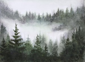 Serenidade da floresta enevoada