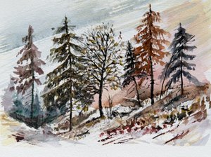 Amanhecer nevado na floresta