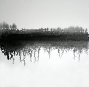 Reflexão na Floresta Monocromática de Marina Nelson