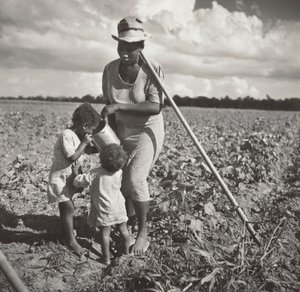 Mulher negra a dar de beber aos filhos no campo onde está a sachar algodão num projeto cooperativo da FSA (Allen Plantation)