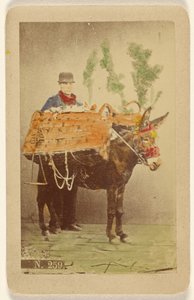 [Homem não identificado com mula a transportar cestos de comida] de Marittima
