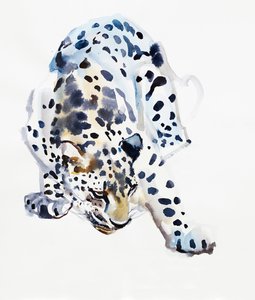 Leopardo Árabe, 2008 de Mark Adlington
