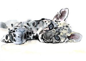 Filhote de Leopardo Árabe, 2008 de Mark Adlington