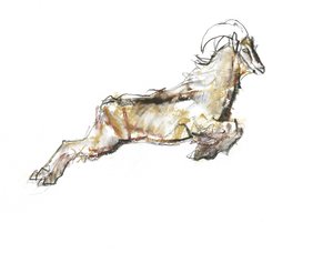 Árabe Tahr, 2009 (conte und charcoal on paper) de Mark Adlington