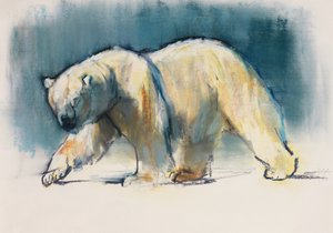 Luz Ártica, 2017 de Mark Adlington