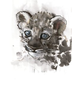 Olhos Azuis (Leopardo Árabe), 2008 de Mark Adlington