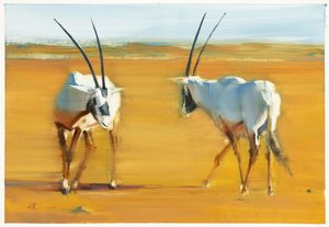 Oryx Arábico em Círculo, 2010 (óleo sobre papel) de Mark Adlington