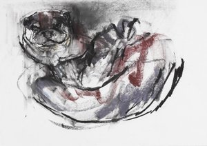 Dog Otter (carvão vegetal e conte no papel) de Mark Adlington