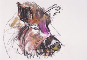 Dzik (mídia mista no papel) de Mark Adlington