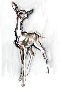 Gerenuk fawn, Sarara, 2018 de Mark Adlington