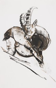 Grattarsi (carvão e conte no papel) de Mark Adlington