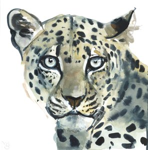 Leopardo, 2015, (aguarela sobre papel) de Mark Adlington