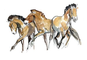 Mistral Three (Przewalski), 2013 (tinta de aquarela, aquarela e guache)