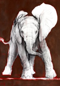 Uma Orelha para Cima, 2018 de Mark Adlington