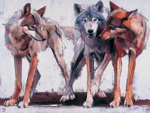 Líderes de Pacotes, 2001