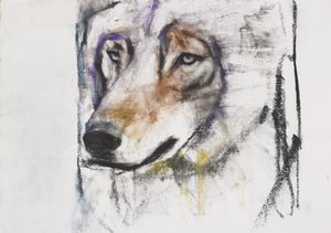 The Wolf Process (mídia mista no papel) de Mark Adlington