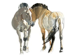 Rencontre (Przewalski), 2013, (aguarela e pigmento sobre papel)