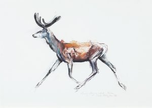 Running Stag em veludo, Polsen, 2006 (carvão vegetal e papel) de Mark Adlington