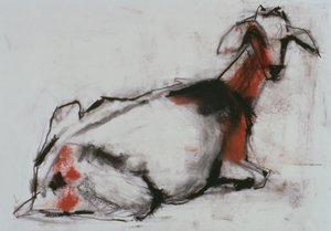 Cabra sentada, 1998 (conte e carvão no papel) de Mark Adlington