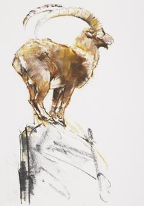 Stambecco d&39;Oro, 2005 (carvão vegetal e papel) de Mark Adlington