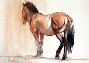 Stand (Przewalski), 2013, (pastel e carvão sobre papel)