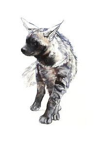 Filhote de Hyaena Listrado, 2010, (conté e pastel sobre papel) de Mark Adlington