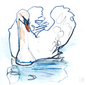 Lago dos Cisnes, 2021 de Mark Adlington