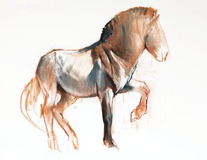 Turning (Przewalski), 2013, (pastel e carvão sobre papel)