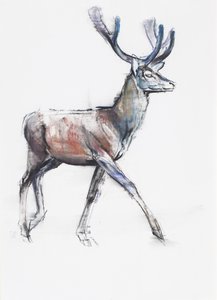 Velvet, 2006 (carvão e conte no papel) de Mark Adlington