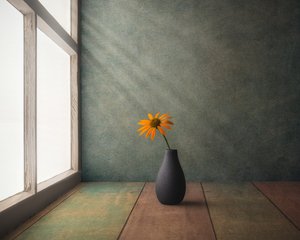 Natureza morta com flores douradas