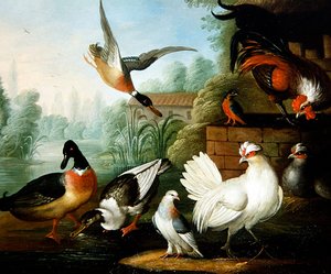 A Landscape with Chicken, Ducks and a Kingfisher (óleo sobre tela)