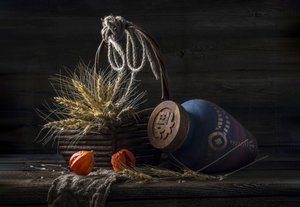  de Marsha Ma